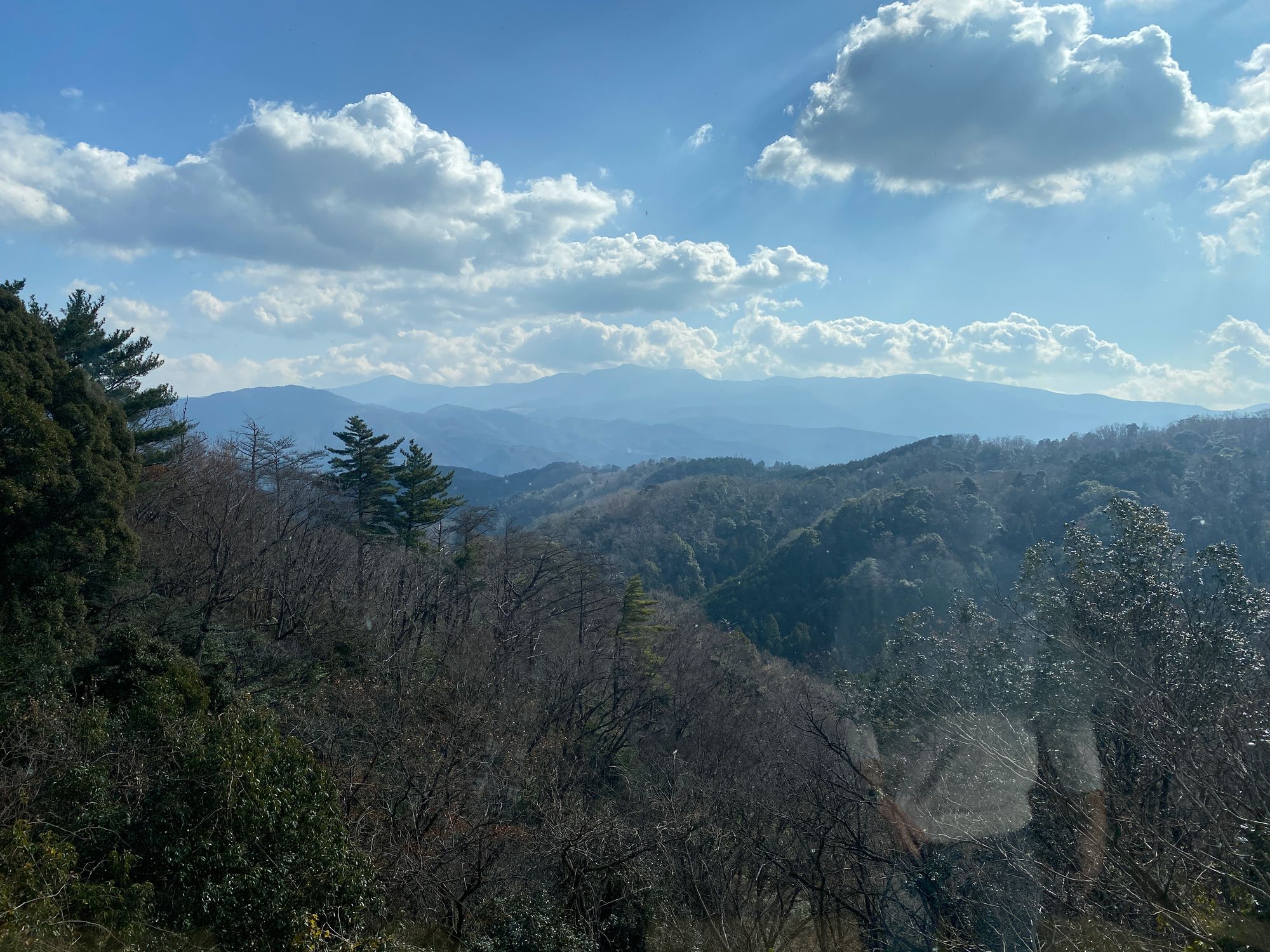 会場からの眺め